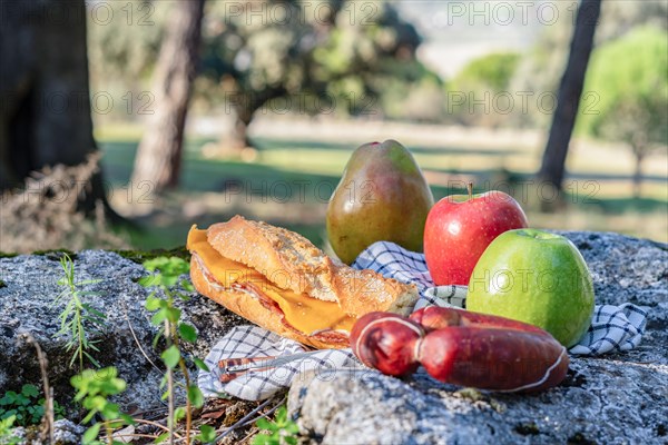 Picnic in the countryside bacon and cheese sandwich with sausage and fruit on a big rock with the forest in the background