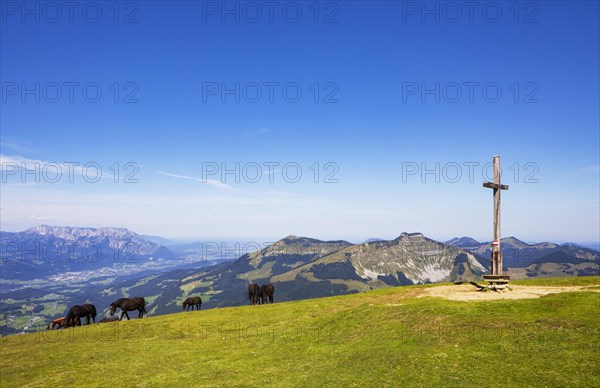 Herd of horses at the summit cross on Trattberg with a view of Schlenken and Schmittenstein