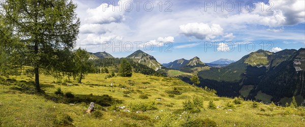 Alpine meadow on the Trattbergalm with Gennerhorn