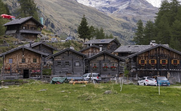 Alpine pasture