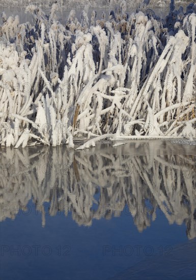 Winter landscape