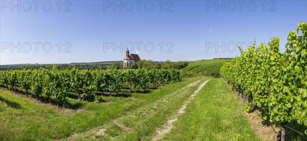 Pilgrimage church Maria im Weingarten