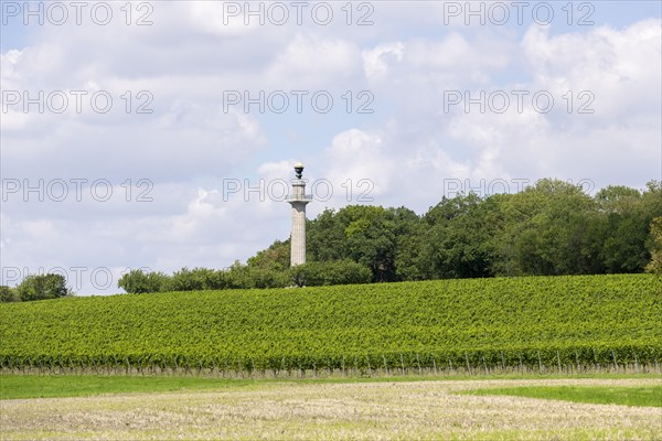 Constitution Column