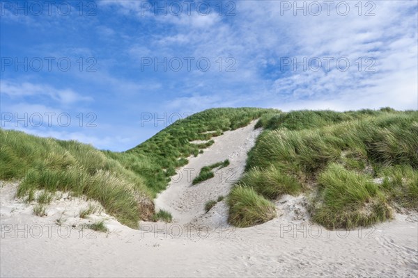 Dunes with dune grass on the sandy beach of Balnakeil Beach in the Northern Highlands