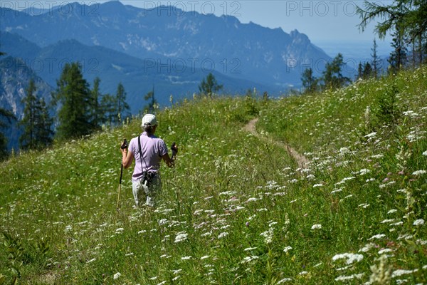 Hiker in nature at the Priesbergalm in the Berchtesgaden National Park