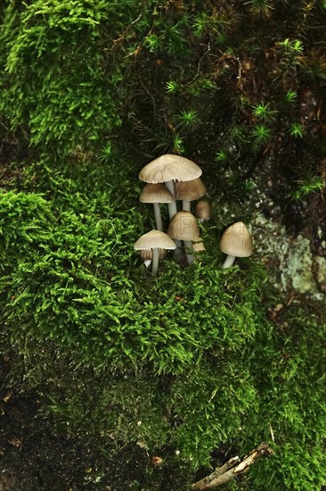 Kellerwald-Edersee National Park in late summer