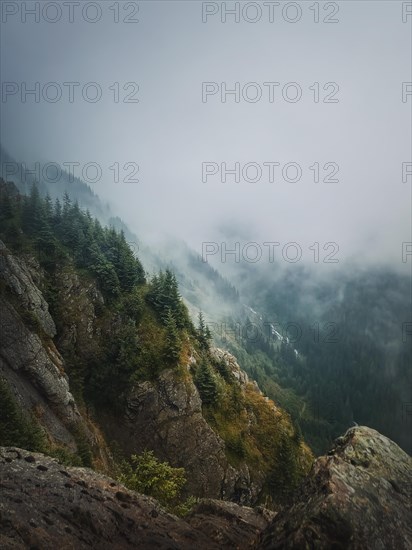 Idyllic view to the foggy valley from the top of the mountain. Dense mist clouds above the carpathians pine forest