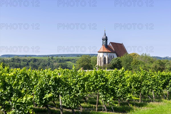 Pilgrimage church Maria im Weingarten