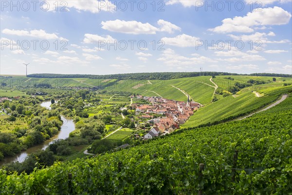 View from Vogelsburg Castle on the Main Loop towards Escherndorf