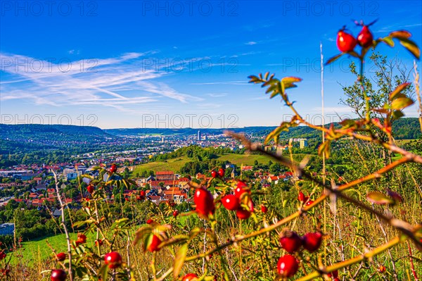 View over the city of Jena from the Galgenberg with the Kernberge in the background under blue sky and veil clouds