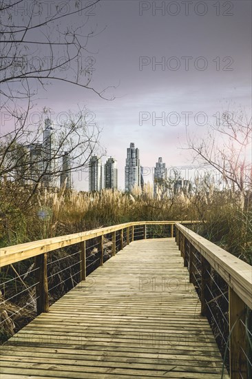 Wooden path in a natural reserve near the city of Buenos Aires