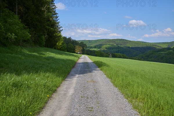 Country lane