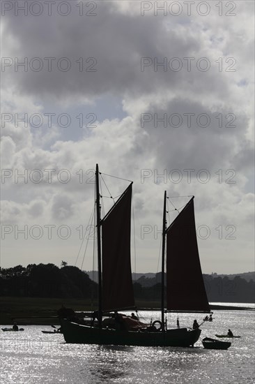 Parade of old sailboats in the Rade de Brest