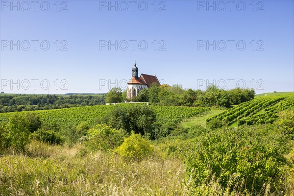 Pilgrimage church Maria im Weingarten