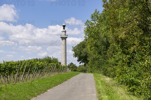 Constitution Column