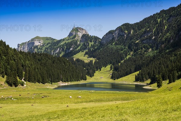 Mountain landscape and lake