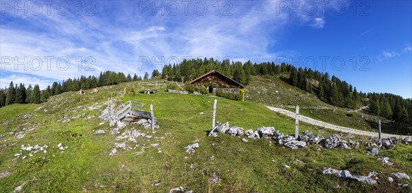 Pitscherbergalm on the Postalm