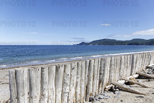 Palisades on a beach