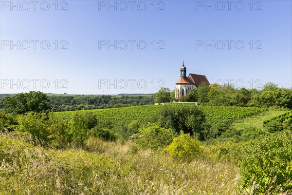 Pilgrimage church Maria im Weingarten