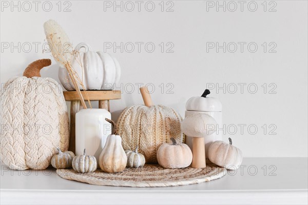 Boho style fall decor with pumpkins and dried flowers and copy space