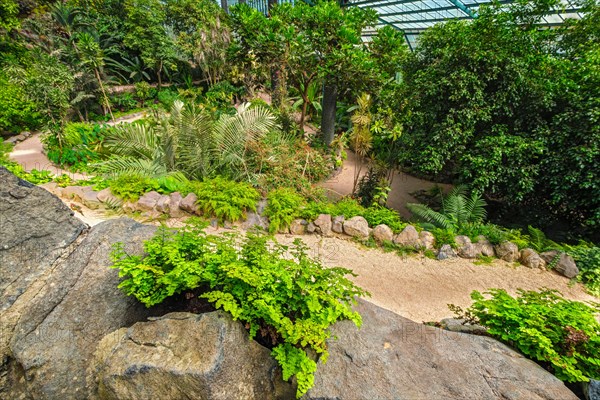 Interior view of the cold house Estufa Fria is a greenhouse with gardens