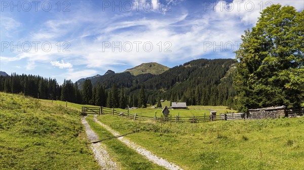 Alpine landscape on the Ausserlienbachalm with Labenberg