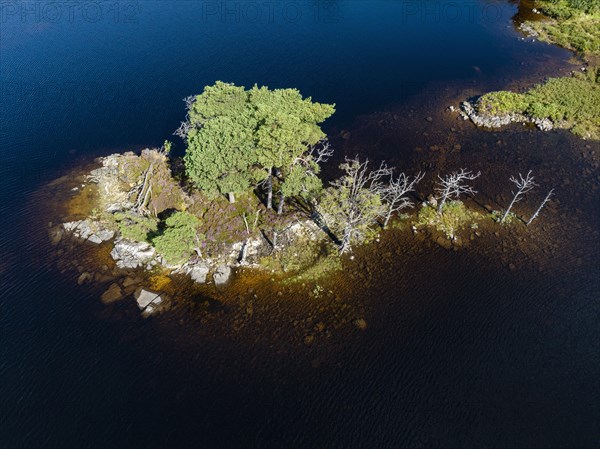 Aerial view of the freshwater loch Loch Assynt with a small island of trees