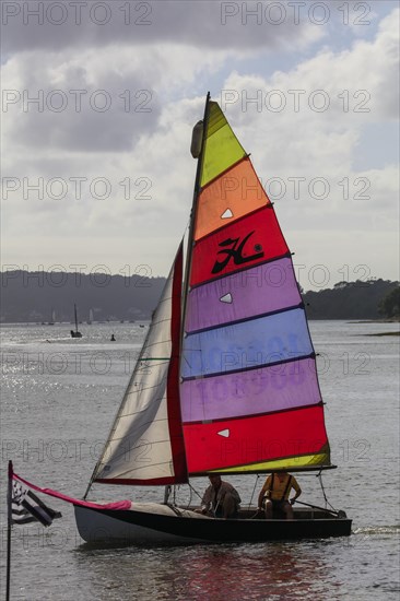 Parade of old sailboats in the Rade de Brest