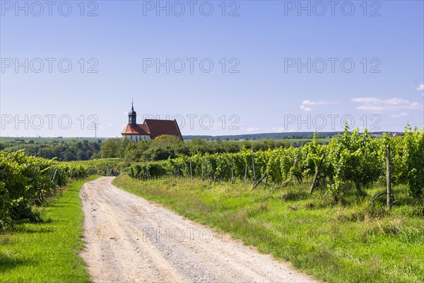 Pilgrimage church Maria im Weingarten