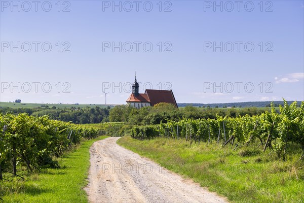 Pilgrimage church Maria im Weingarten