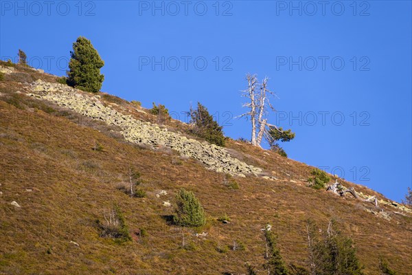 Mountain landscape with boulder heaps