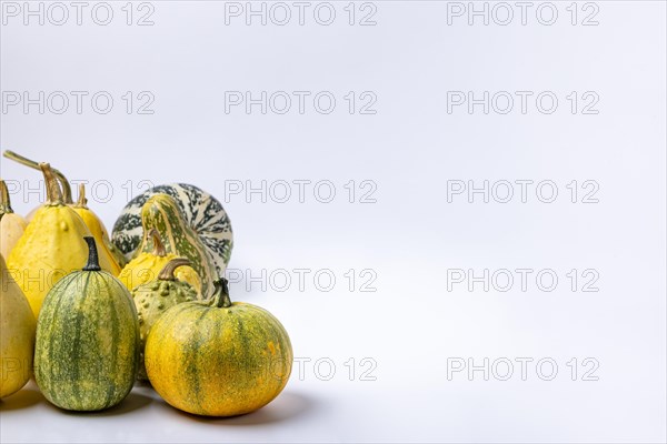 Various ornamental pumpkins