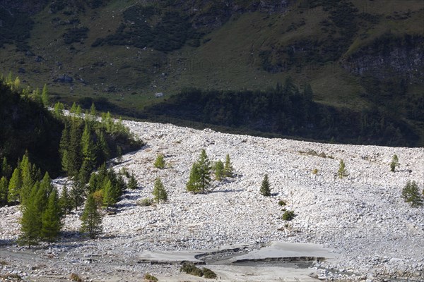 Debris pile after storm in Kolm Saigurn