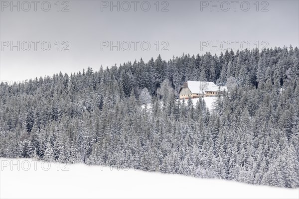 Old farm snowed in