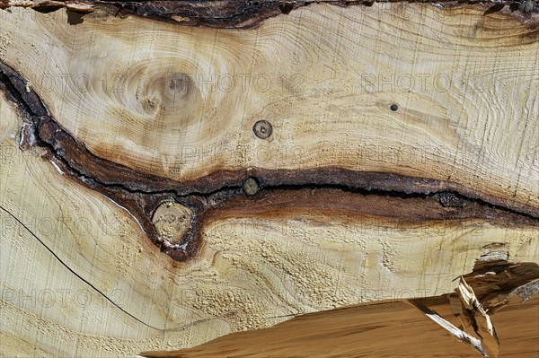 Wooden board with knotholes in a sawmill