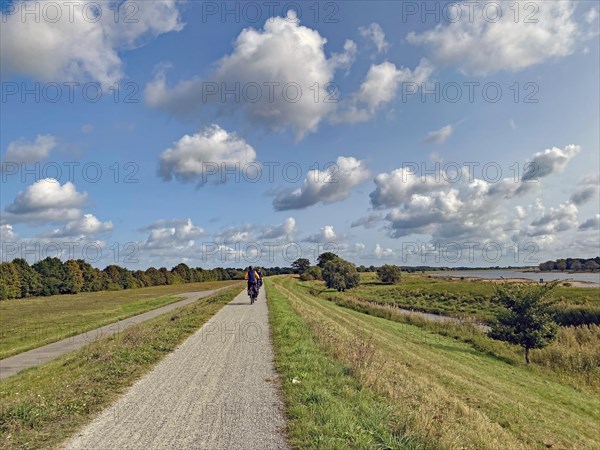 Cyclists riding on the Elbe dyke near Lenzen