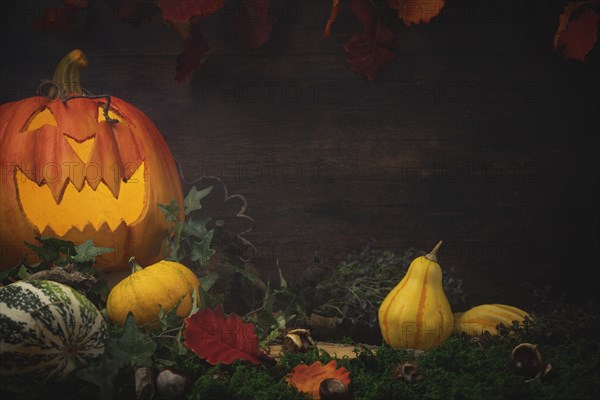 Halloween background with pumpkins