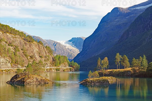 Individual trees reflected in the still waters of a turquoise-green lake