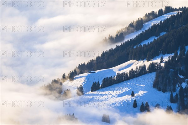 Snow-covered alpine hut in the sea of fog