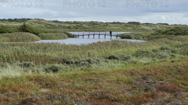 Lonely on the jetty by the lake