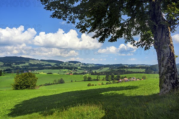 The Weitnau Valley near Waltrams