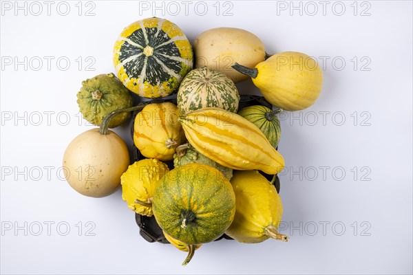 Various ornamental pumpkins in and next to baskets