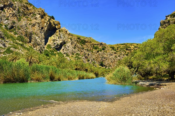 View of Kourtaliotis river and canyon near Preveli beach at Libyan sea