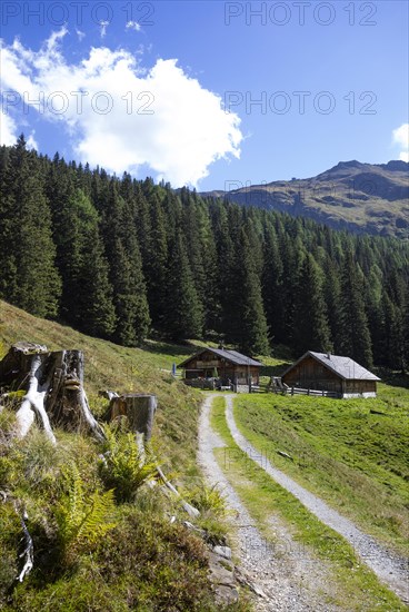 Hiking trail to the Erlehenalm