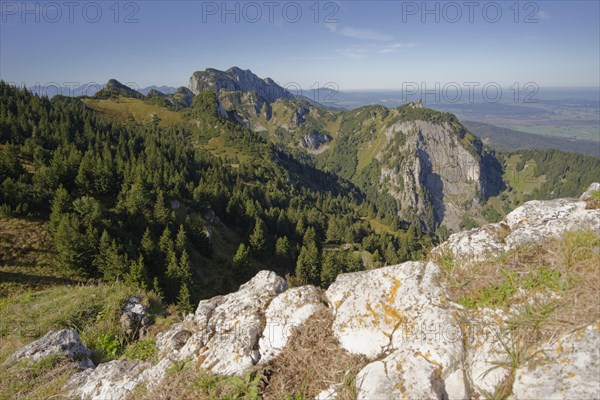 View of the Benediktenwand