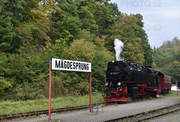 Harz narrow-gauge railway