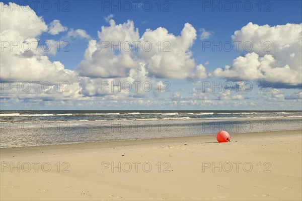 Water's edge between beach and North Sea