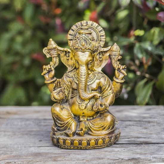 Ganesha statue sitting in meditating yoga pose on a trunk