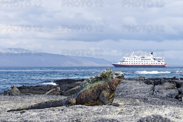 Hurtigruten cruise ship Santa Cruz II