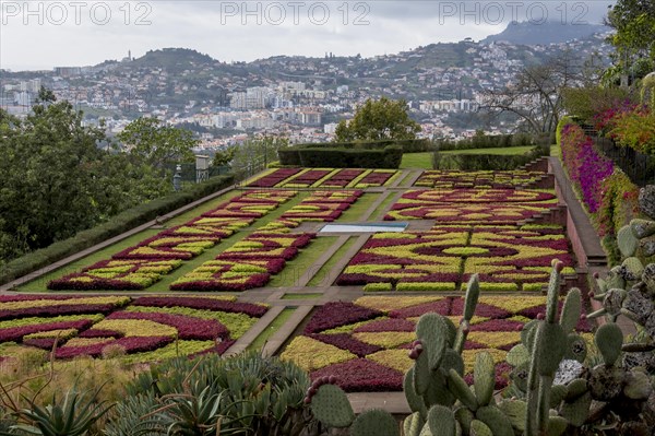 Funchal Botanical Garden